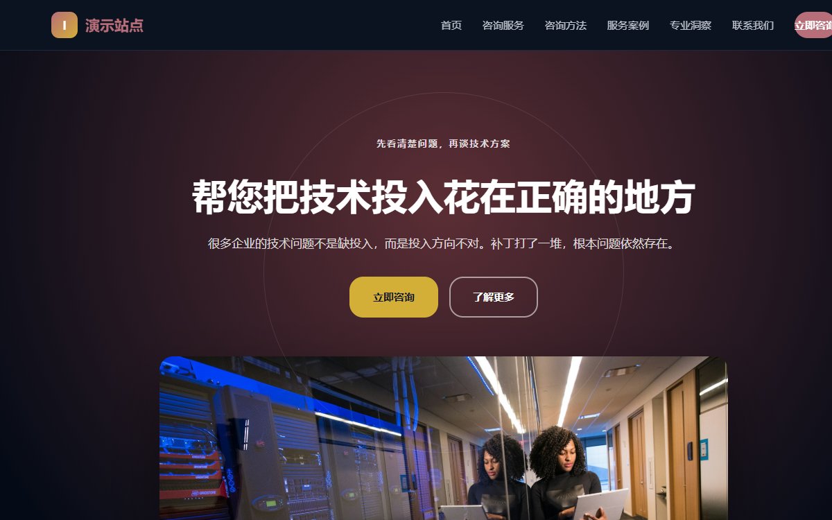 IT咨询·暗色聚光·经典