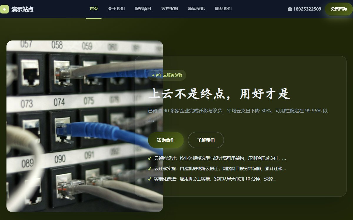科技公司·多页·云计算运维·锐意墨影版