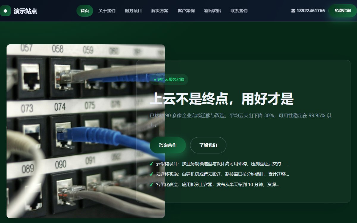 科技公司·多页·云计算运维·经典墨影版