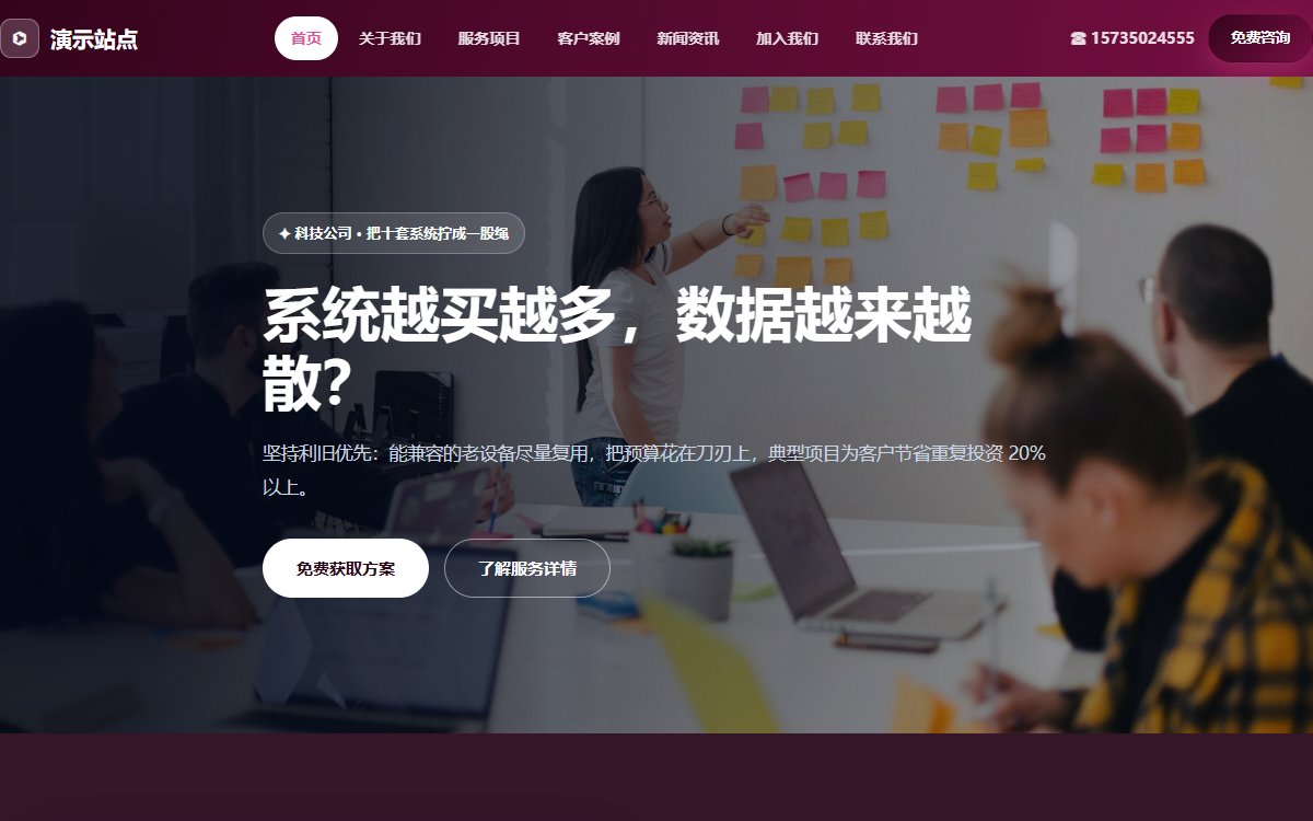 科技公司·多页·系统集成·经典极境版