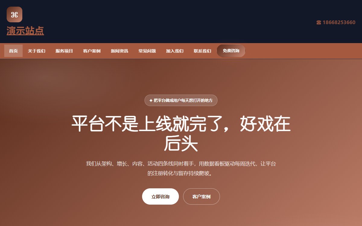 互联网公司·多页·平台运营·锐意墨影版