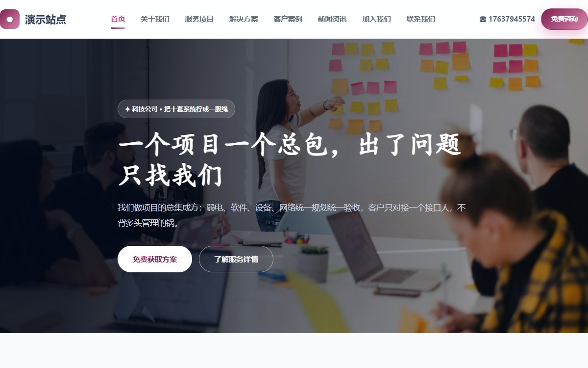 科技公司·多页·系统集成·旗舰极境版