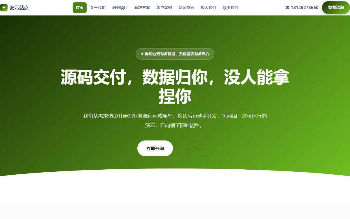 软件公司·多页·定制开发·风华极境版
