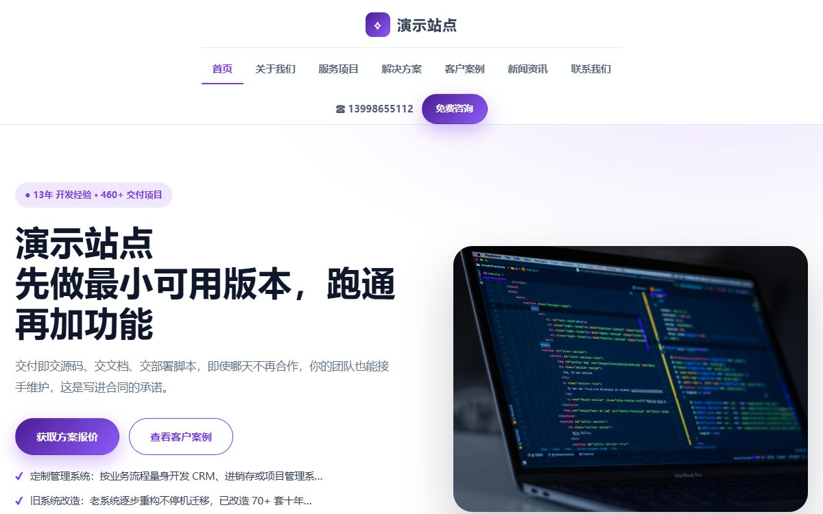 软件公司·多页·定制开发·锦绣光感版