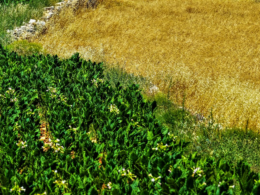 新起步 · 打基础